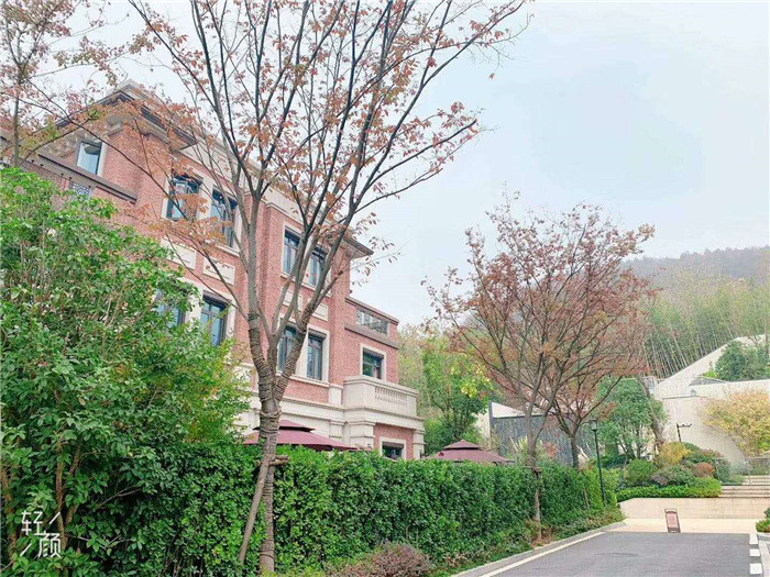微信图片_20200320093549.jpg